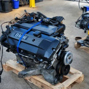 M54 3.0-L BMW